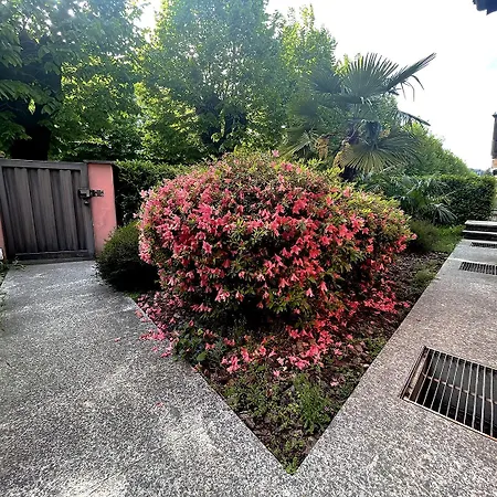 Riviera Apartamento *